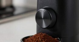 optimal burr grind settings