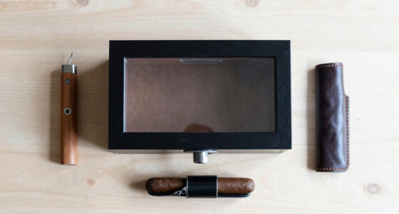 10 Best Best Cigar Humidor Cabinet in 2026
