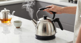 14 Best Luxury Tea Kettle Electric in 2026