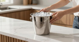 15 Best Best Ice Bucket Set Stainless Steel in 2026