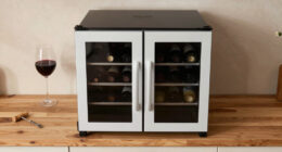 7 Best Dual Zone Wine Refrigerator in 2026