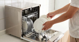 8 Best Portable Dishwasher Stainless Steel in 2026