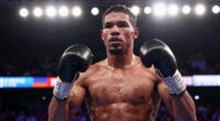 boxing earnings and popularity