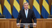 swedish prime minister s wealth