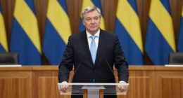 swedish prime minister s wealth