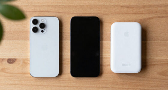 Apple Greift Nach China-Speicher. Europa Hat Nicht Einmal Diese Option.