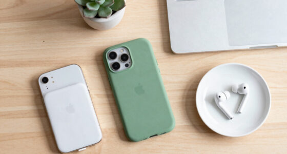 Apple Is Reaching for Chinese Memory. Europe Doesn’t Even Have That Option.